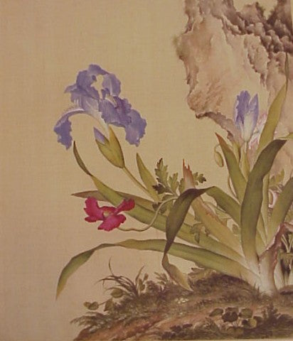 PAPER RHOECAS AND IRIS JAPONICA