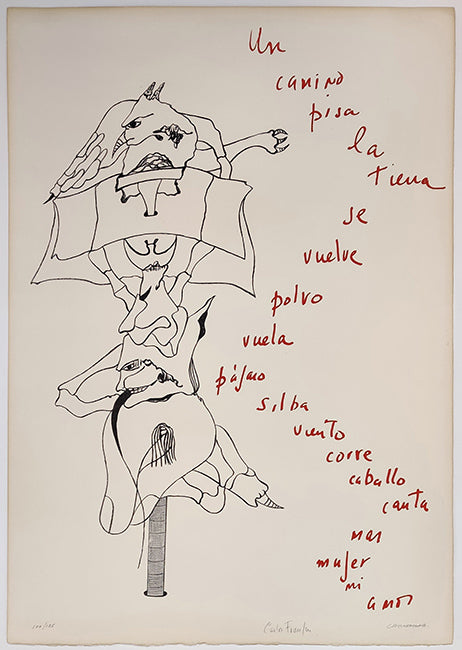 UNTITLED (FROM POEMAS PARA MIRAR PORTFOLIO)