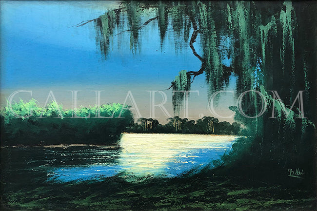 FLORIDA EVERGLADES