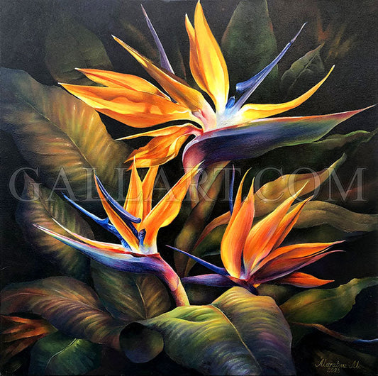 BURNING BIRDS