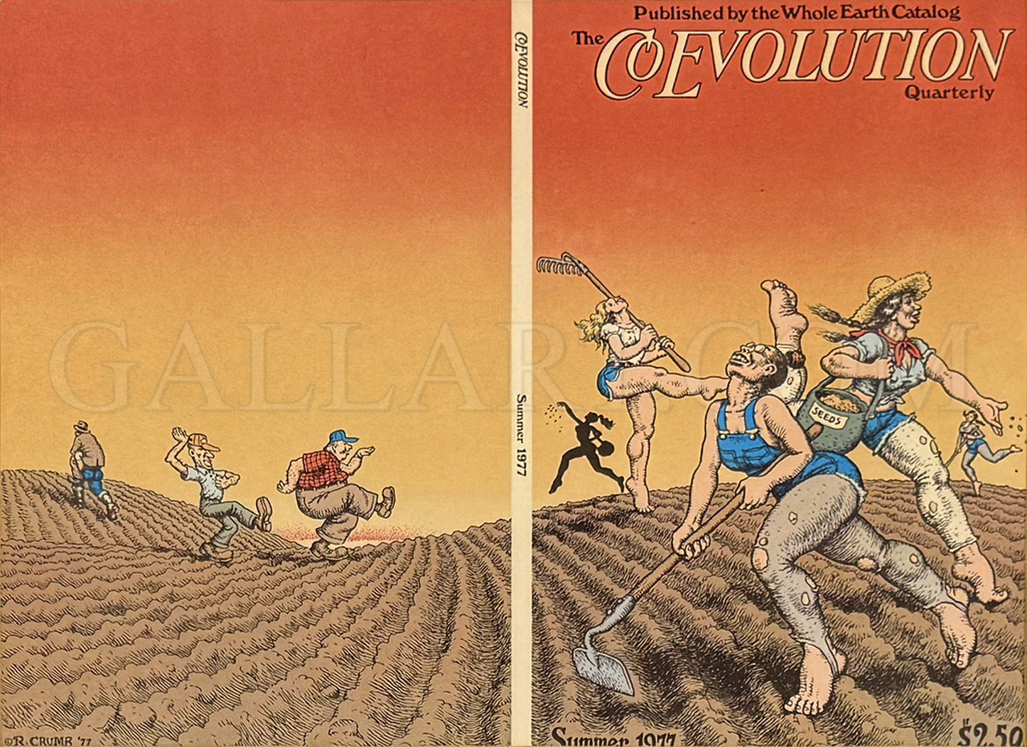 THE COEVOLUTION QUARTERLY COVER