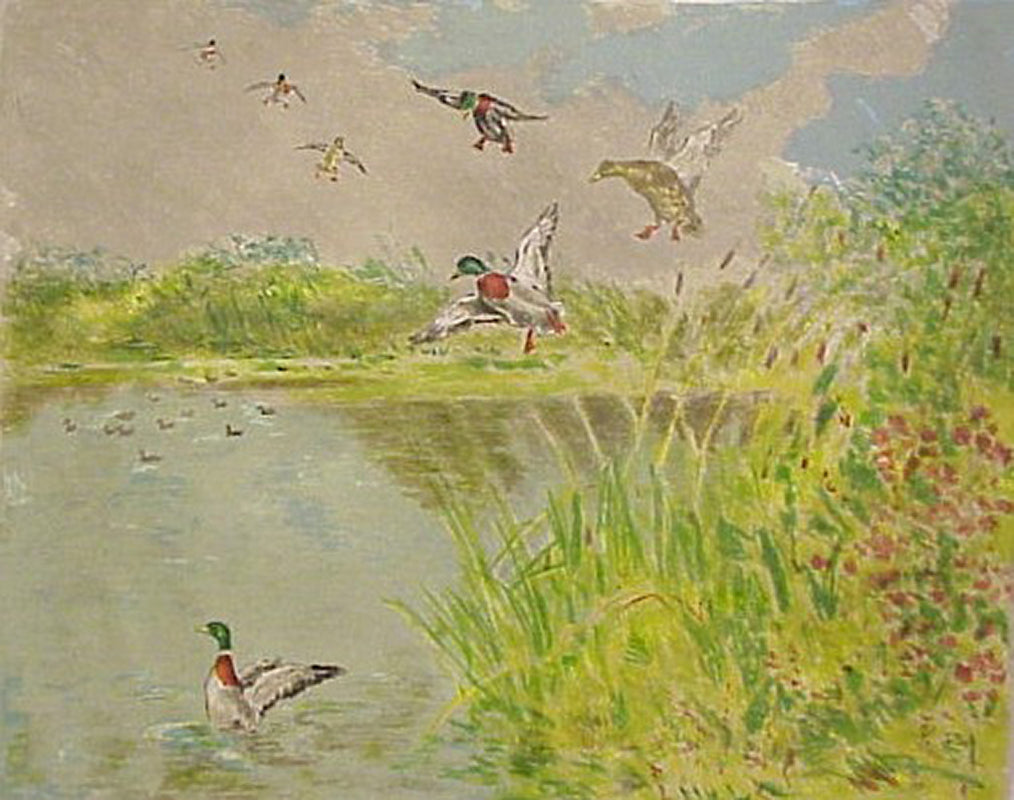 MALLARD FLIGHT