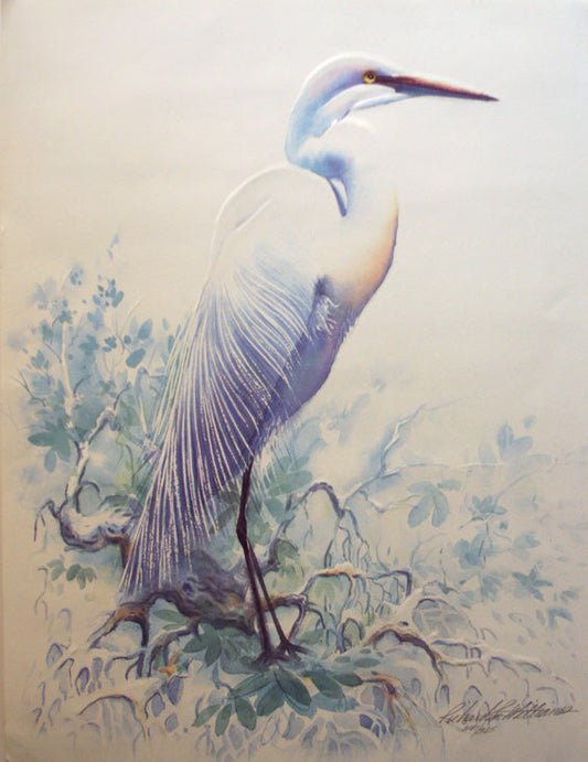 WHITE EGRET