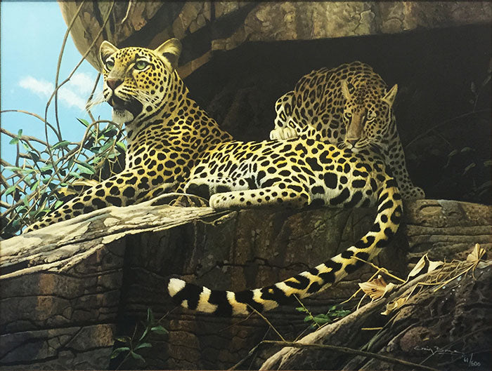 LEOPARDS