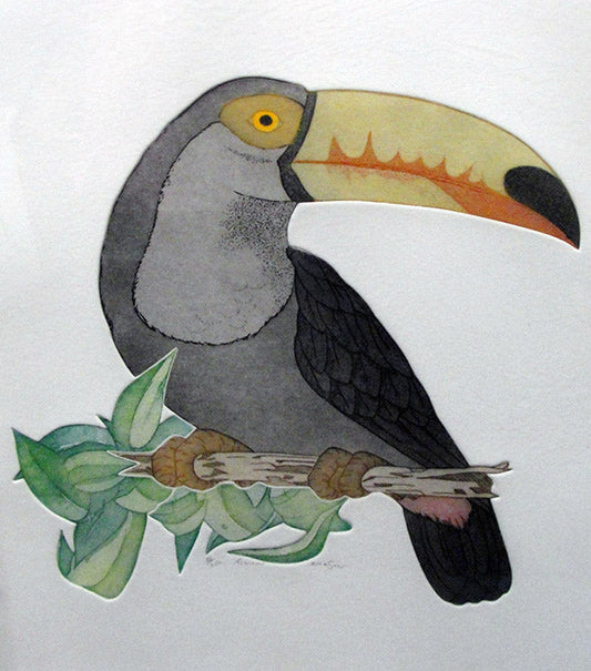 TOUCAN