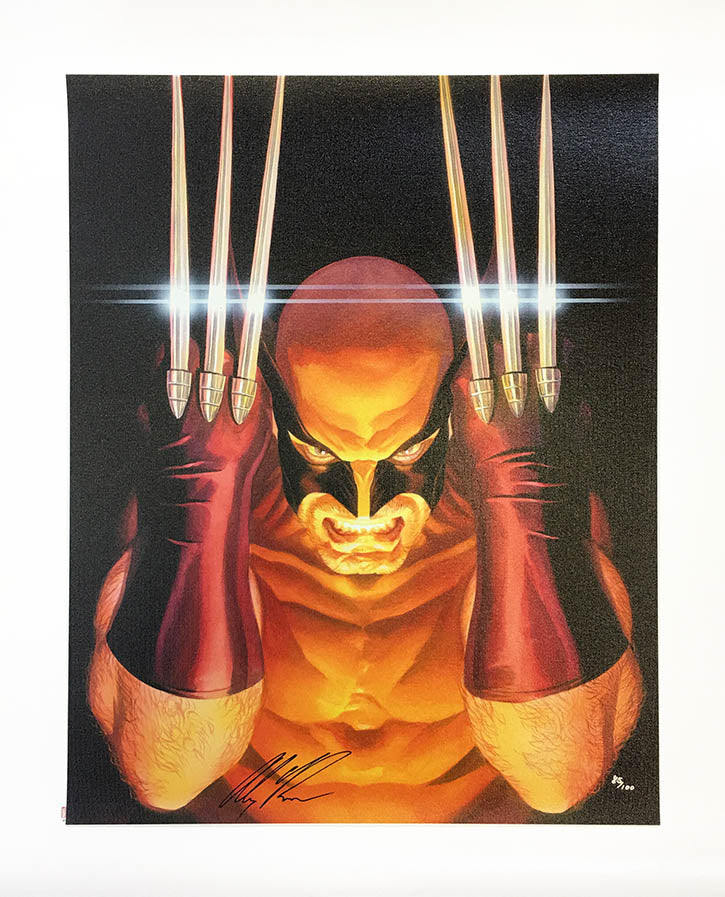 VISIONS: WOLVERINE